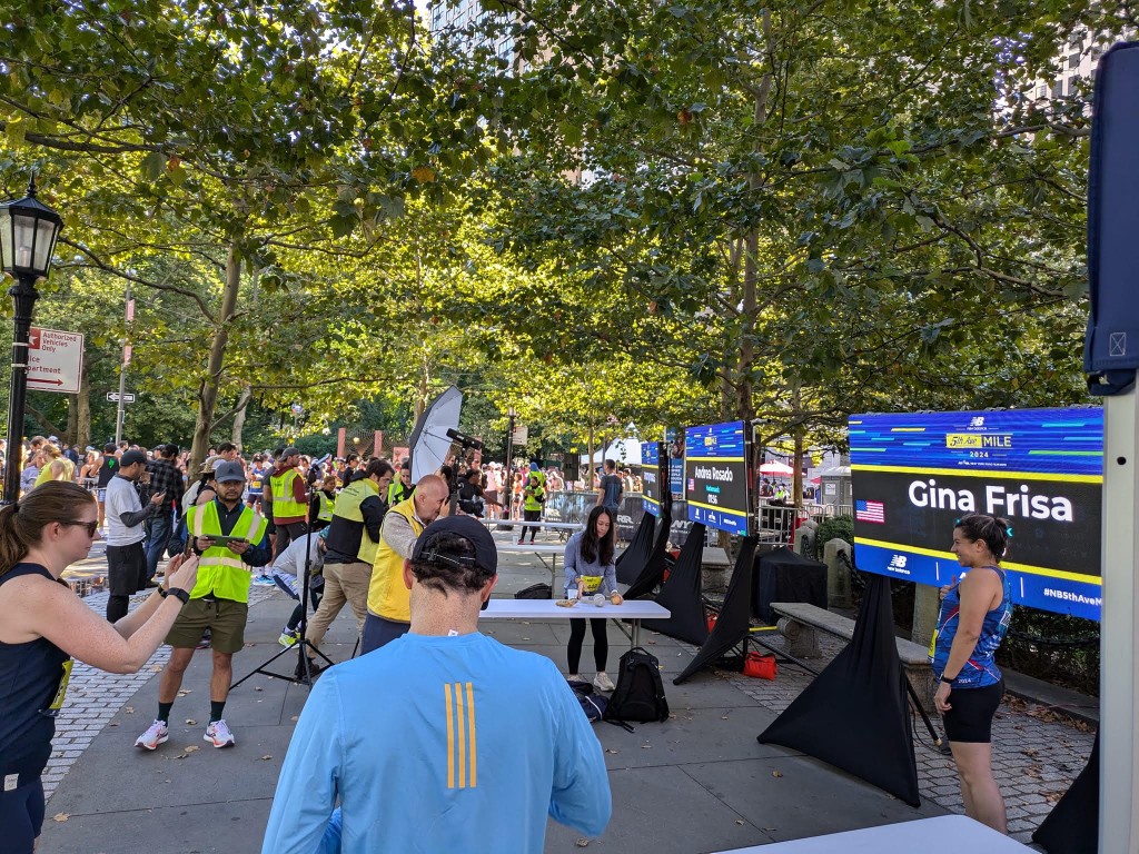 Fifth Avenue Mile selfie stations
